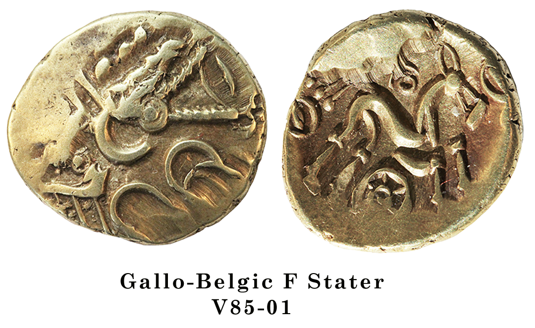 Gallo-Belgic F Stater with massive cud